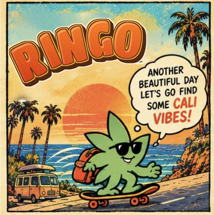Póster de cómic: Ringo patinando junto al mar al atardecer, con una furgoneta y palmeras, diciendo: «Another beautiful day, let's go find some Cali vibes!»